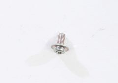 Mikuni Screw