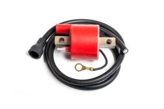 Ricks Ignition Coil