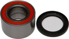 All Balls Front Wheel Bearing Kit