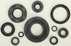 Vertex Oil Seal Set