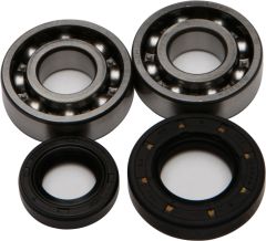 All Balls Crankshaft Bearing/seal Kit