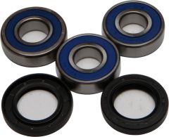 All Balls Rear Wheel Bearing/seal Kit