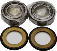 All Balls Steering Bearing/seal Kit