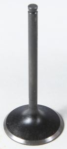 Kpmi Intake Valve