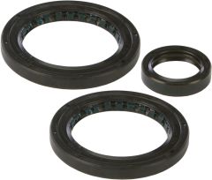 All Balls Rear Differential Seal Kit