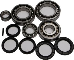 All Balls Rear Differential Bearing And Seal Kit