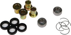 All Balls Lower A-arm Bearing Kit