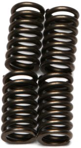 Ebc Clutch Springs