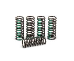 Pro Circuit High Performance Clutch Springs