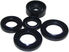 Mogo Parts Oil Seal Kit