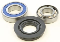 All Balls Chain Case Bearing & Seal Kit