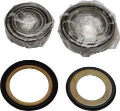 All Balls Steering Bearing/seal Kit