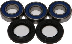 All Balls Rear Wheel Bearing Kit