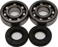 All Balls Crankshaft Bearing/seal Kit