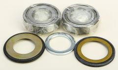 All Balls Steering Bearing/seal Kit