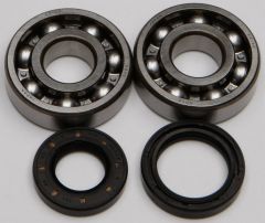 All Balls Crankshaft Bearing/seal Kit