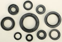 Vertex Oil Seal Set