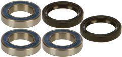 All Balls Rear Wheel Bearing/seal Kit