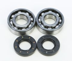 All Balls Crankshaft Bearing/seal Kit