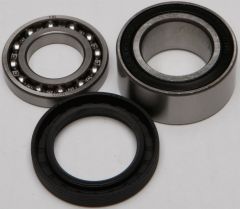 All Balls Chain Case Bearing & Seal Kit