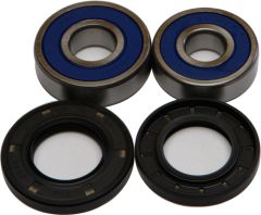 All Balls Wheel Bearing & Seal Kit