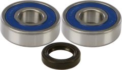 All Balls Wheel Bearing & Seal Kit