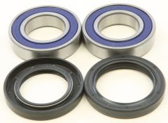 All Balls Wheel Bearing & Seal Kit