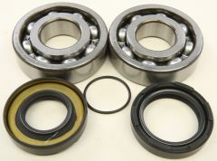 All Balls Crankshaft Bearing/seal Kit