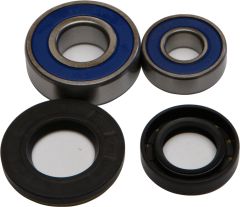 All Balls Front Wheel Bearing Kit