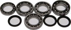 All Balls Front Differential Bearing And Seal Kit