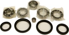 All Balls Differential Bearing And Seal Kit