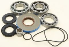 All Balls Rear Differential Bearing And Seal Kit