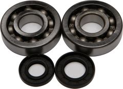 All Balls Crankshaft Bearing/seal Kit