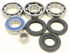 All Balls Rear Differential Bearing And Seal Kit