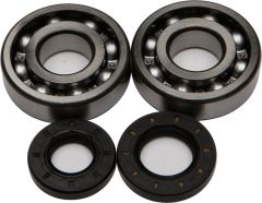 All Balls Crankshaft Bearing/seal Kit  Black/1/4" ID