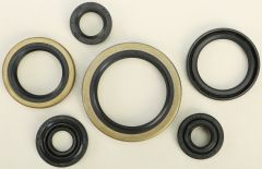 Vertex Oil Seal Set