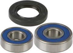 All Balls Rear Wheel Bearing/seal Kit