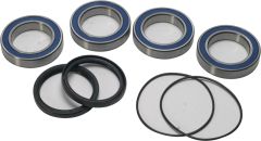 All Balls Rear Wheel Bearing Kit