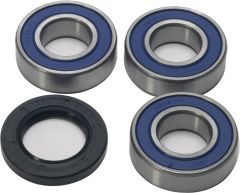 All Balls Rear Wheel Bearing Kit