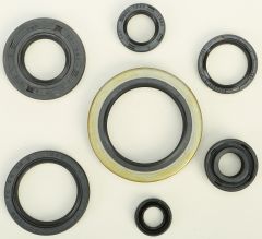 Vertex Oil Seal Set