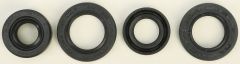 Vertex Oil Seal Set