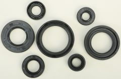 Vertex Oil Seal Set