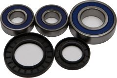 All Balls Rear Wheel Bearing Kit