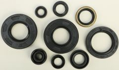 Vertex Oil Seal Set