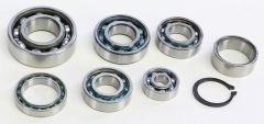 Hot Rods Transmission Bearing Kit