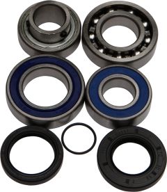 All Balls Chain Case Bearing & Seal Kit