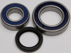 All Balls Chain Case Bearing & Seal Kit