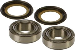 All Balls Steering Bearing/seal Kit