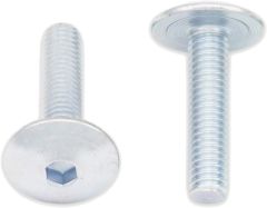 Bolt M6x25 Fairing Bolts 10/pk