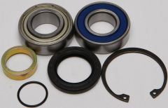 All Balls Chain Case Bearing & Seal Kit